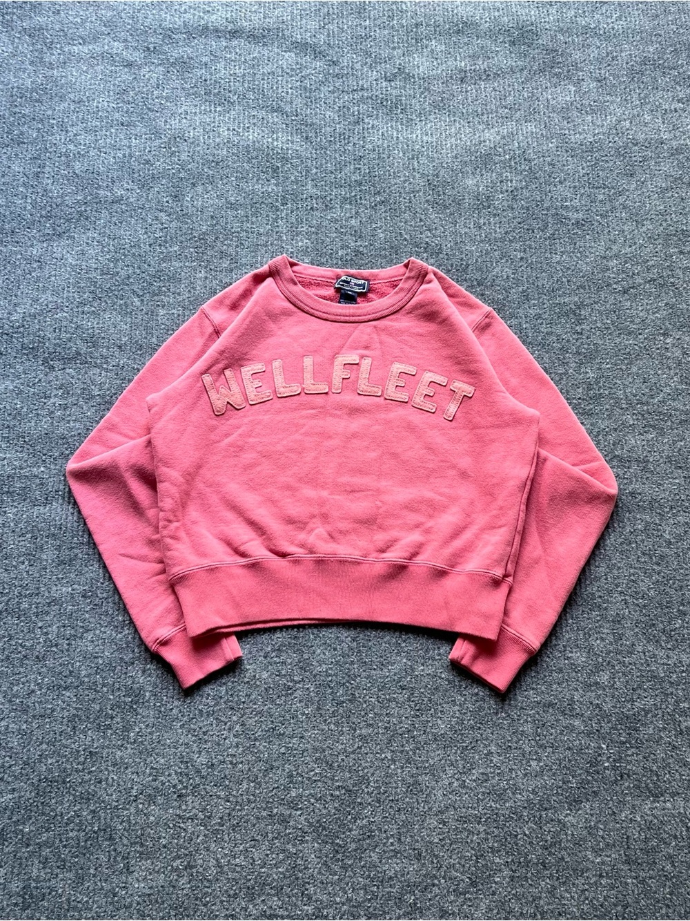 Y2K Polo Sport Cropped Sweatshirt